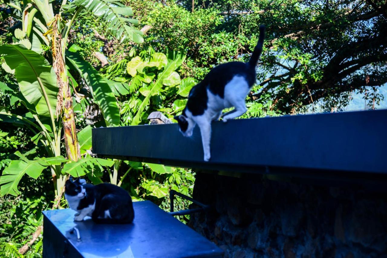 Way Young House Jiufen Luaran gambar