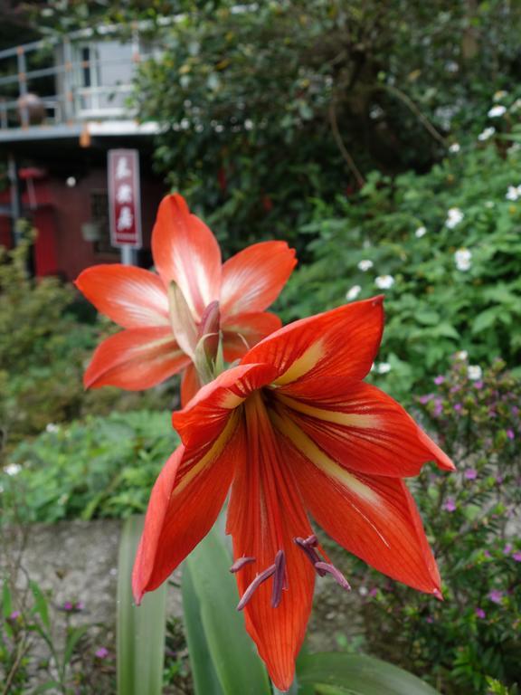 Way Young House Jiufen Luaran gambar